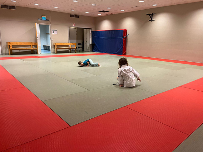 Träna självförsvar eller selfdefence med Bujinkan To Nan Dojo i Huddingehallen Judohallen M3.