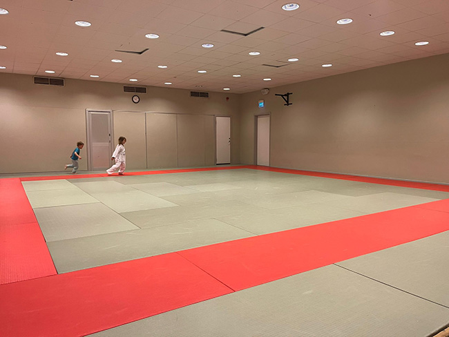 Kvinnor kan träna effektivt självförsvar med Bujinkan To Nan Dojo i Judohallen M3.